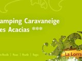 Camping caravaneig
