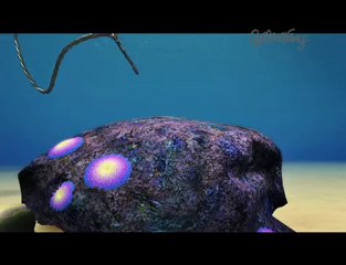 Plouf Olly Plouf - Extrait Episode 59-b: Pollution