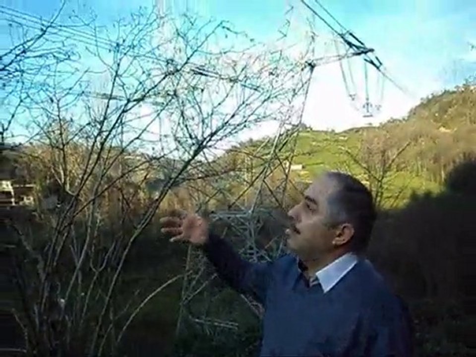 elekktrik hattı tehdit ediyor
