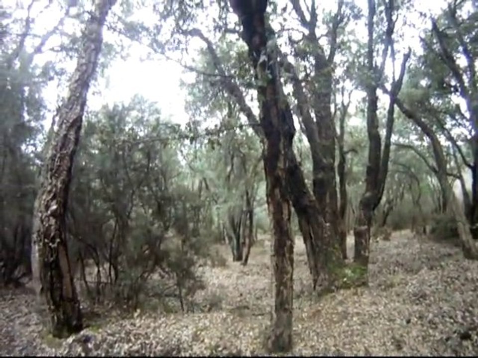 Airsoft by Staff_oZor !