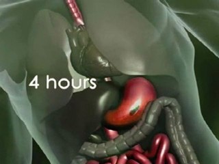 Isotonix Champion Blend, Champion Blend, Antioxidant, Grape