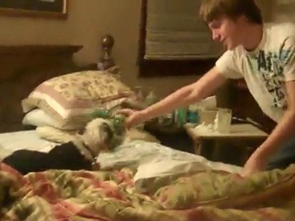 My brother playing with my Dog