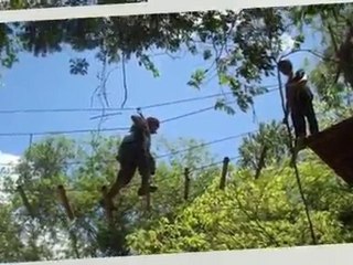 Arvorismo - Parque dos Papagaios Centro de Eventos