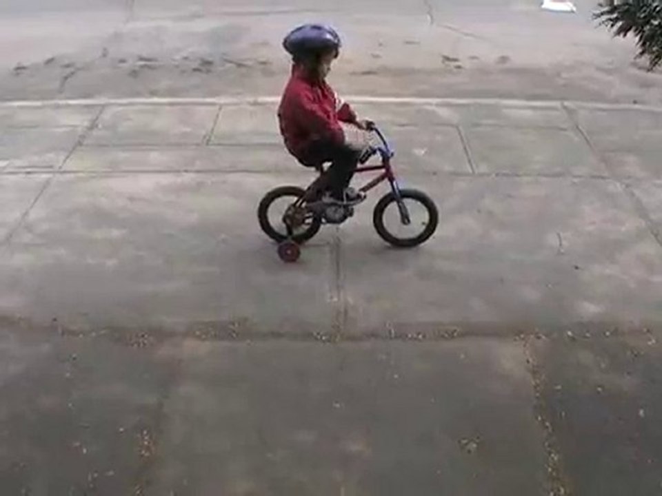 4 vidéos de Caméléons
