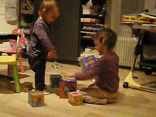 ouistiti + tour de cubes