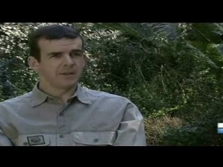 1_3 capté sur le vif.l'Afrique sauvage (2)