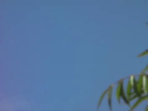 INCREDIBLE UFO FLEET VIDEOTAPED OVER PHOENIX ARIZONA - POSTE