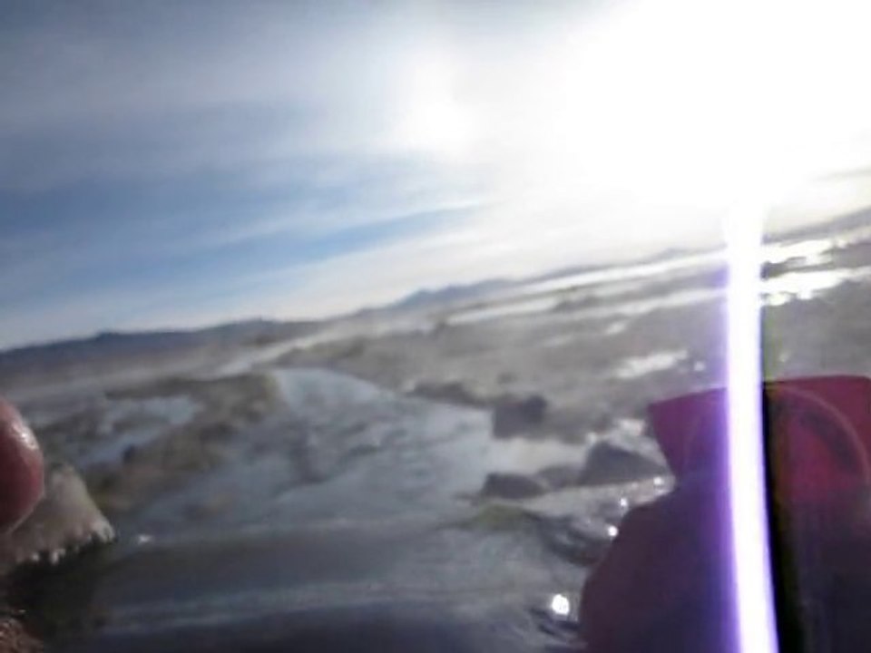 Les moniks dans les mers chaudes boliviana-caraïbes