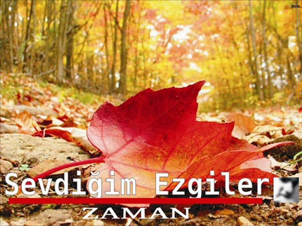 Zaman