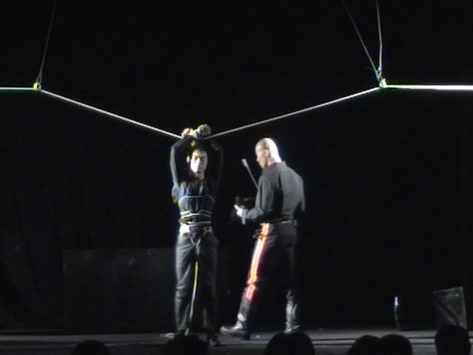 WANG Xiaobo "Palais de l'Est, Palais de l'Ouest"  王小波《东宫西宫》7