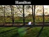 Tree Trimming-Pruning Service | Hamilton-Hamilton Square-Me