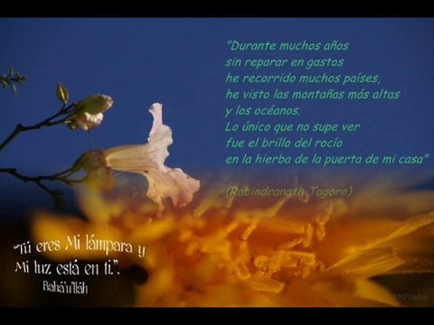 Tu eres mi lampara y mi luz: Rafa Fleita