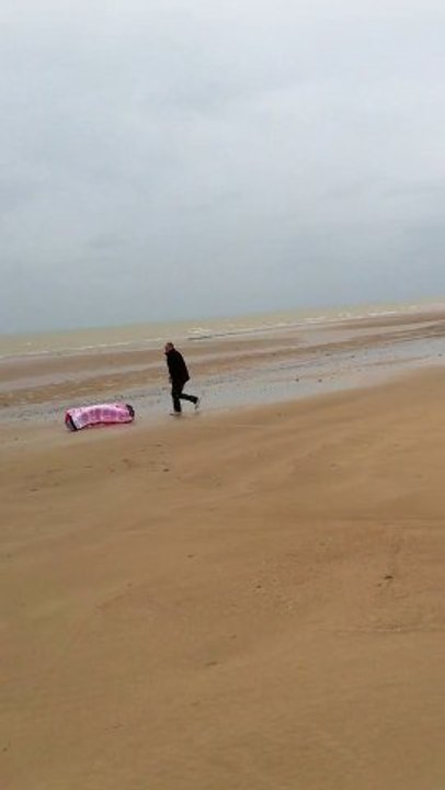 Kite