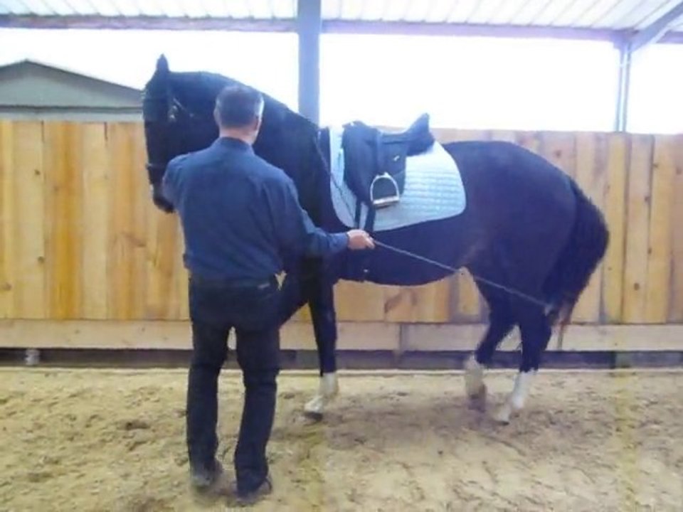 DD janvier 2011