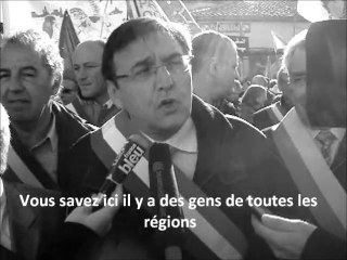 JACQUES DOMERGUE, Manifestation Villeneuve-lès-Maguelone