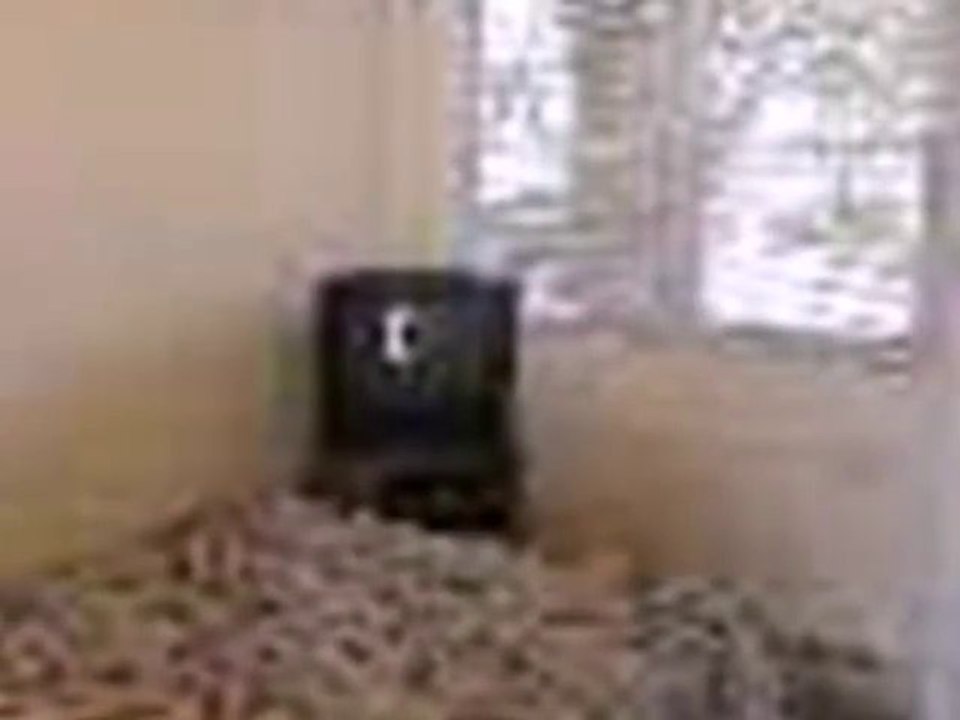 Homes for Sale - 840 Ocean Avenue, Unit #17 17 - Ocean City, NJ 08226 - Jeffrey Quintin