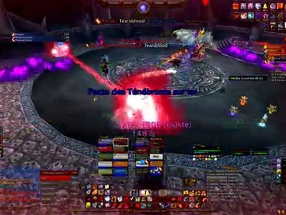 ICC10 reine de sang HF