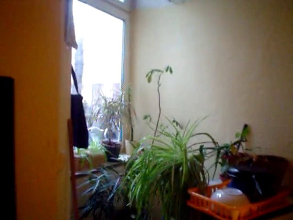 MOV01853