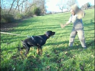 Cisco Attack out of motion training