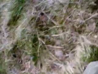 paint ball2011 chartreuse