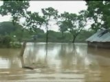 UN calls for aid to help Sri Lanka flood victims