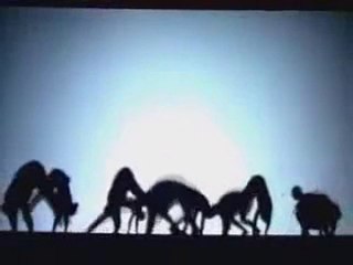 Gassan Satar - aşk dedikleri