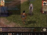 Neverwinternights/48 Port llast 2