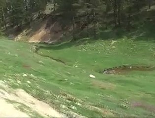 MUSTAFA UYSAL DELİ OLMAK İŞTEN DEĞİL