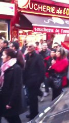 Manifestation De Lyon Le 15/1/2011/15h