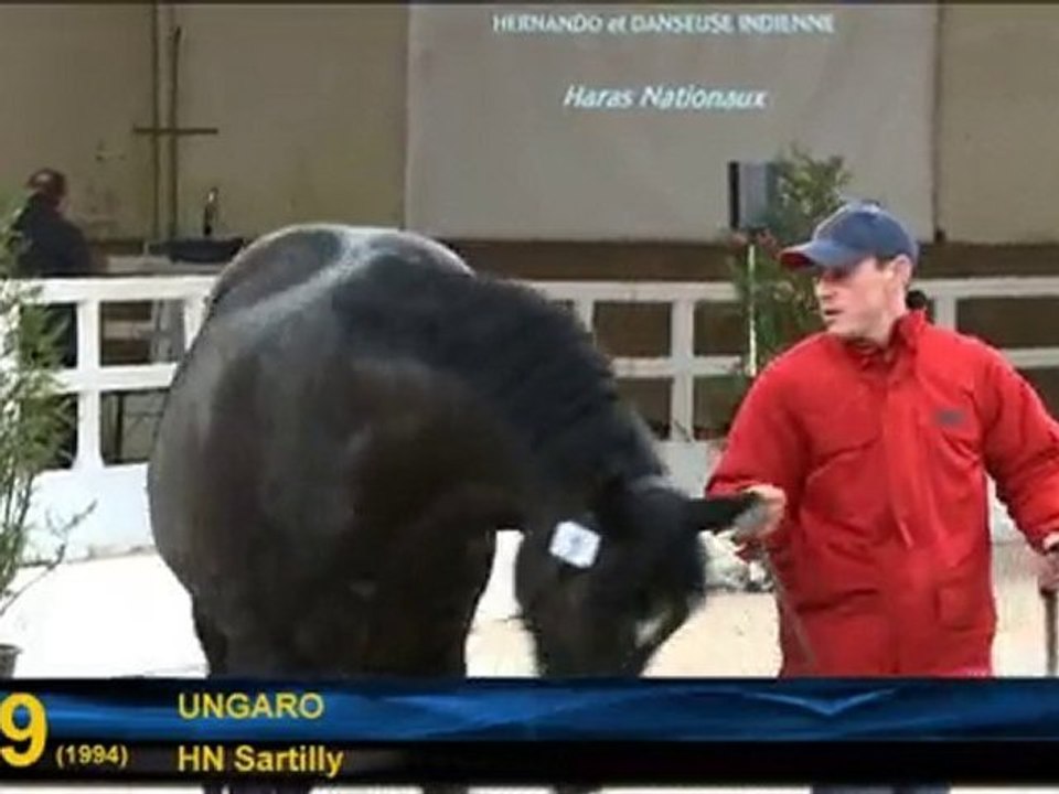 N°29 - Ungaro