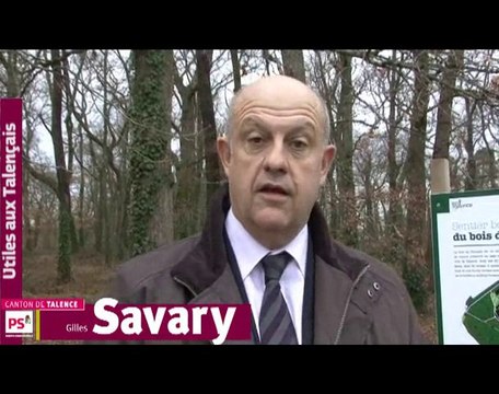 Candidature de Gilles Savary