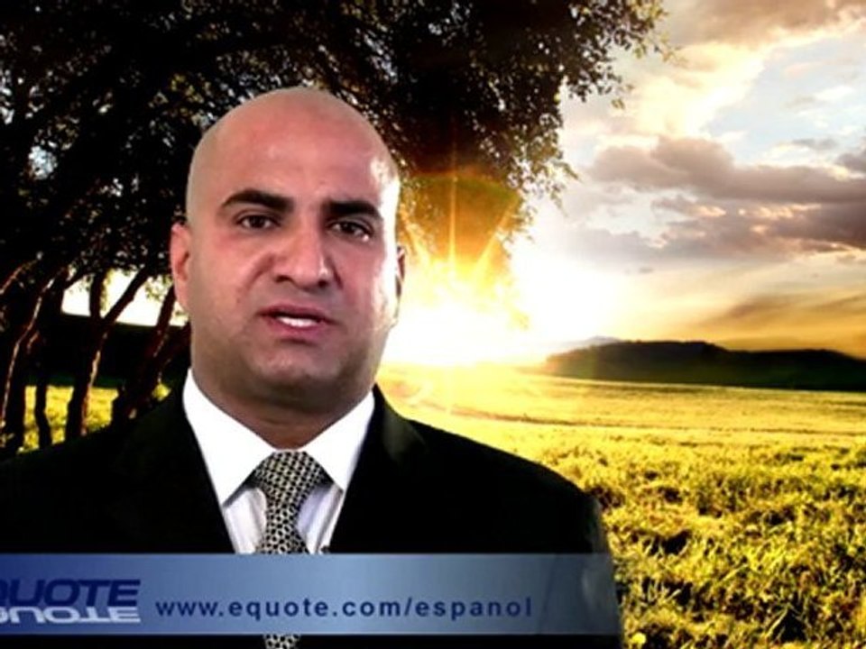 seguro de vida de termino