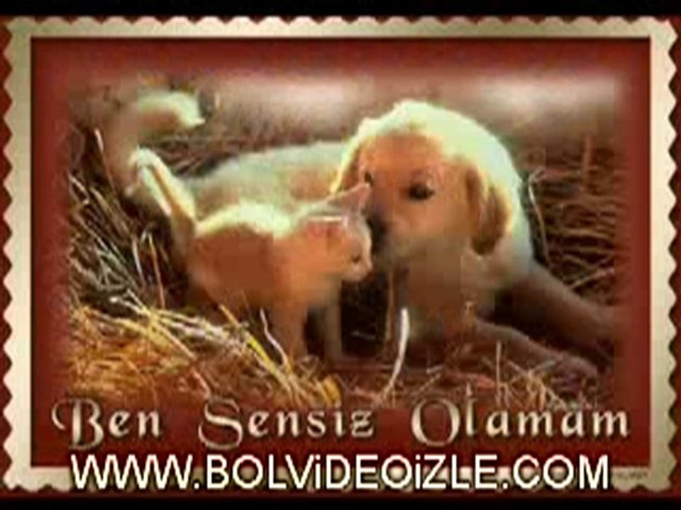 Komur Gozlum Cansu Koc