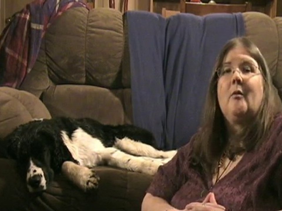 Law Of Attraction Dog Life Coach Teaches How To Get ...