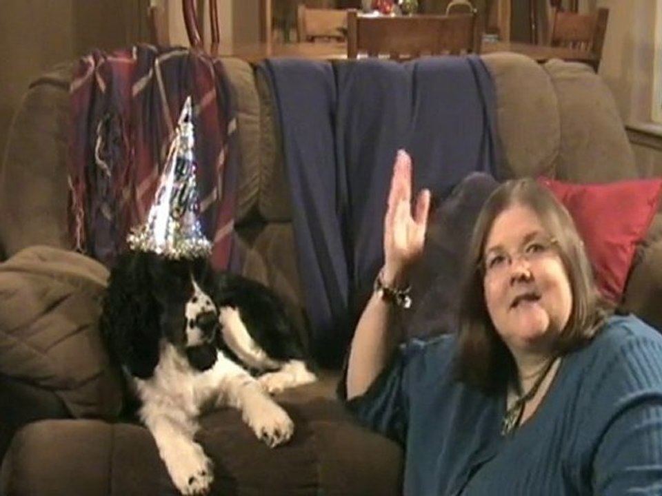 Law of Attraction Dog Helps You Create Your Life