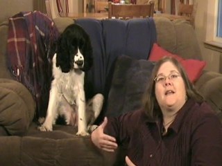 Manifest Your Desires By Law of Attraction Dog Life Coach