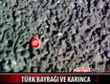 KARINCALARIN TÜRK BAYRAĞI SEVGİSİ