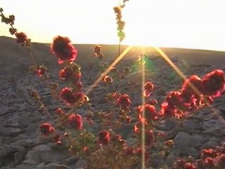 Жаркентская долина,Казахстан