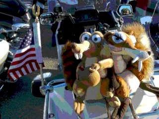 rassemblement motards 2011