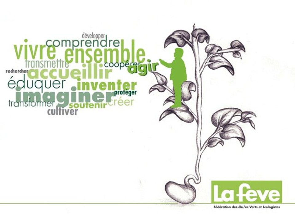 Meilleurs voeux 2011 (FEVE)