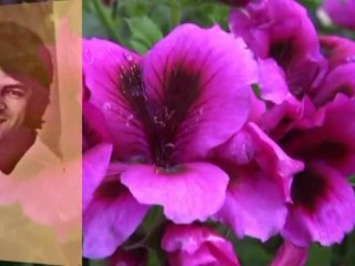 Ahmad Zahir Agar Bahar Beya Yad