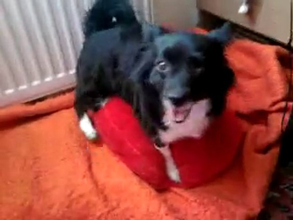 Video0153