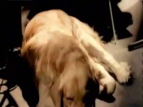 sezen aksu perişanım şimdi