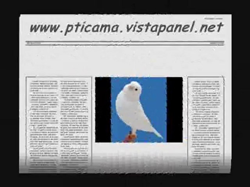 pticama