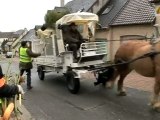 La collecte sélective des sapins après Noël à cheval