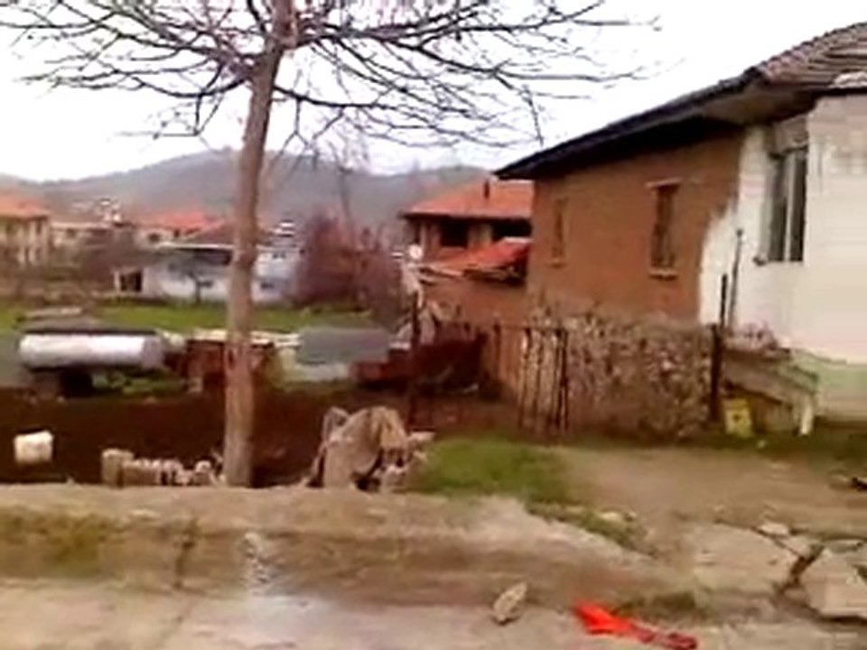 V1601110000