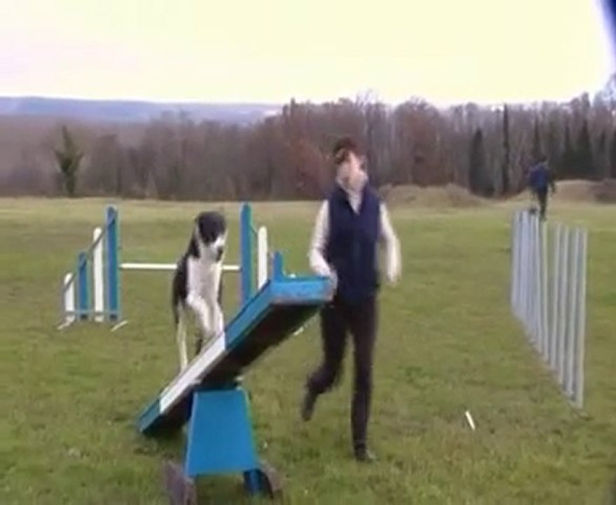 démo agility snoopy malhoreau vidéo 11