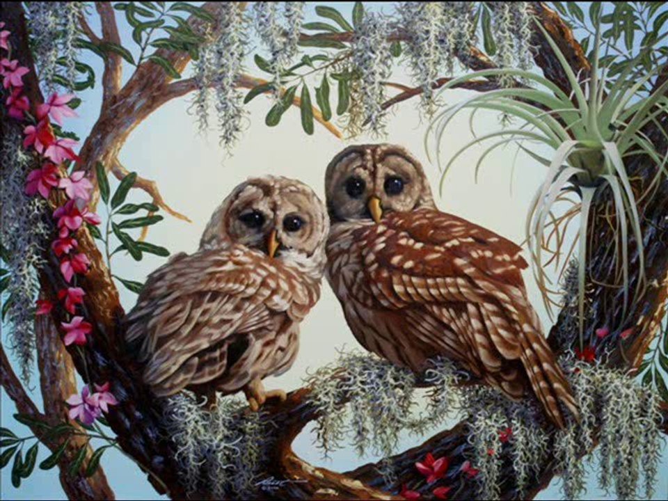 Enstrumental - Ala Gözlüm ( Azeri Türkü )