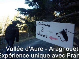 TRAINEAU A CHIENS - VALLEE D'AURE - Janvier 2011