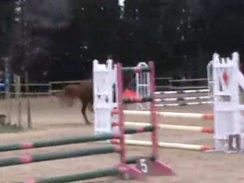 Lison et Rickie lee jones finland ponam 4